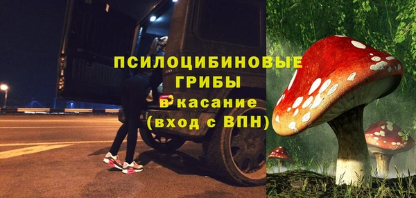 мяу мяу кристалл Горно-Алтайск