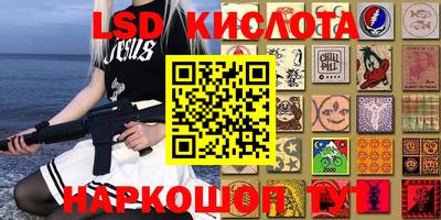 прущие грибы Гагарин