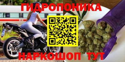 прущая мука Гатчина