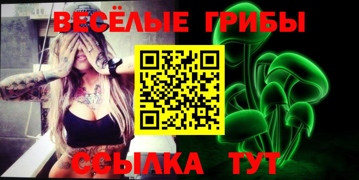 Минеральные Воды  Галлюциногенные грибы Cubensis  Вход с VPN 