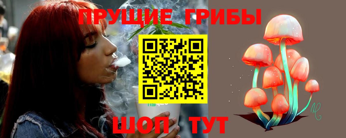 Псилоцибиновые грибы прущие грибы Минеральные Воды